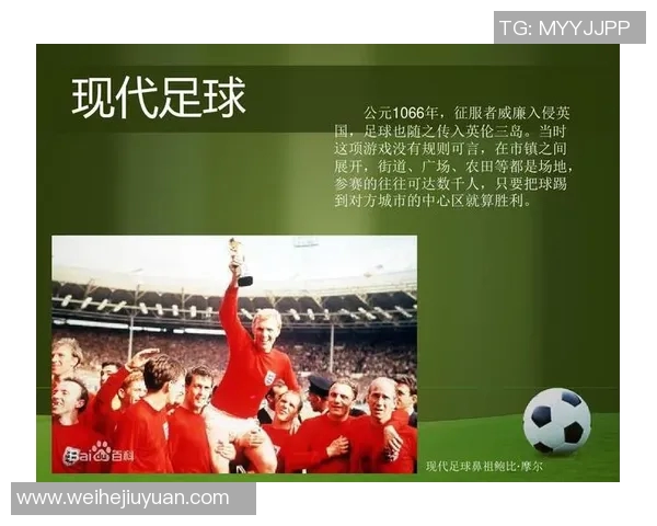 32号足球明星的数量及其在足球界的影响力分析