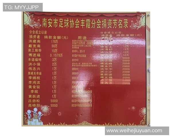 肖字足球明星的辉煌历程与成就解析